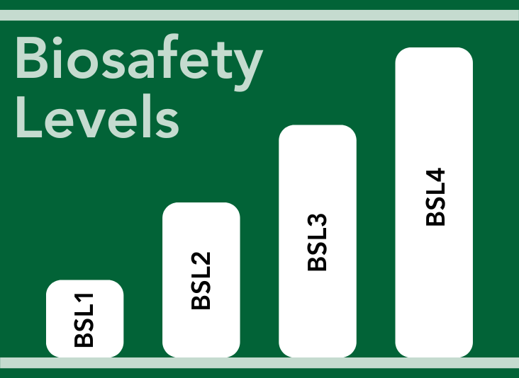 Biosafety Levels Guide Everything You Need To Know